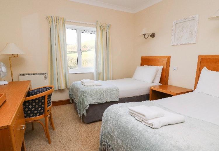 Llety Ceiro Guesthouse Aberystwyth Exterior foto