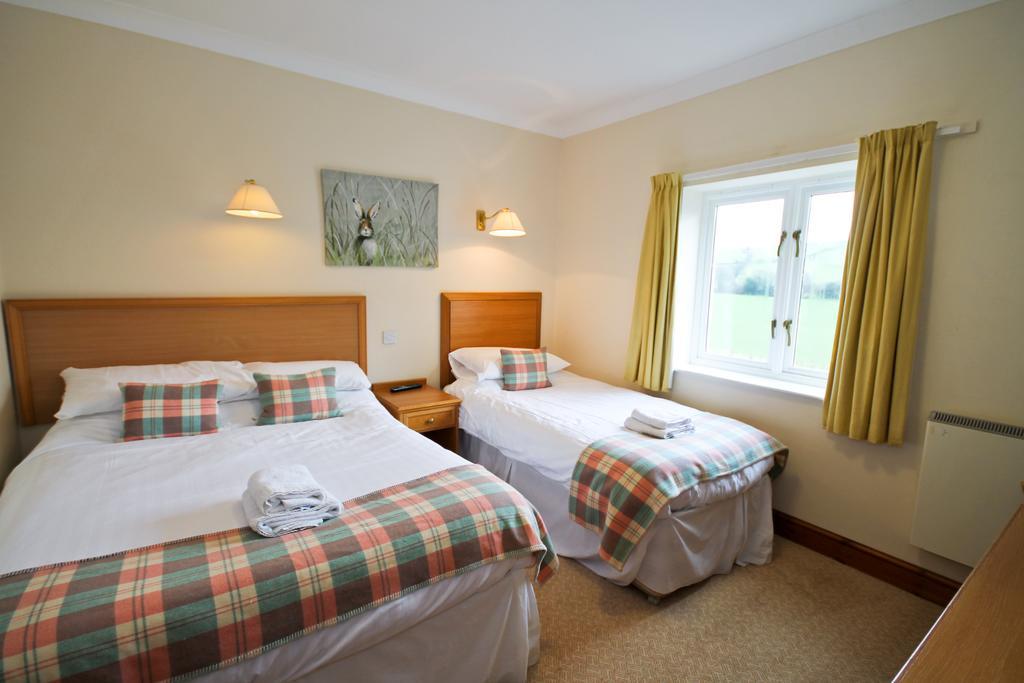 Llety Ceiro Guesthouse Aberystwyth Exterior foto