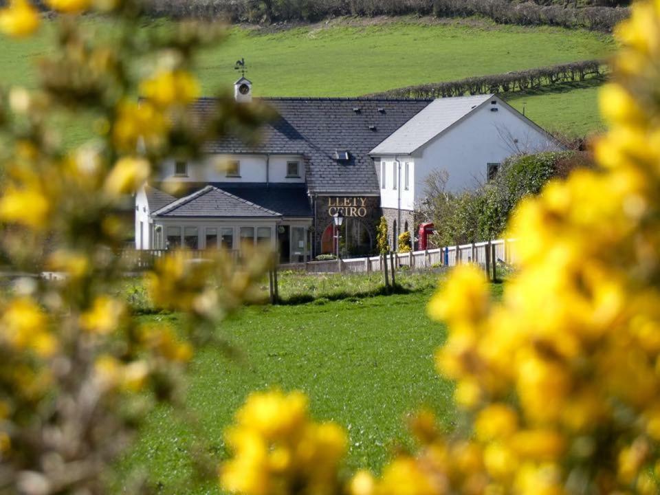 Llety Ceiro Guesthouse Aberystwyth Exterior foto
